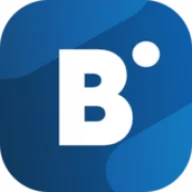 BidVertiser