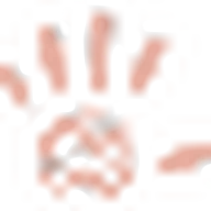 Florist Touch logo