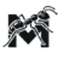 Moorcheh logo