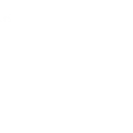 Ninelytics logo