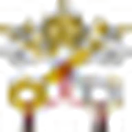 DigiVatLib (Vatican Library) logo