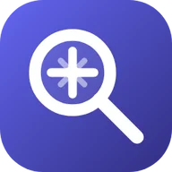 WebAudit Website Widget